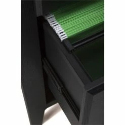 Brand new 🥰 Kathy Ireland Office By Bush Furniture Kathy Ireland Office Connecticut Lateral File In Black Suede Oak 👍 -Mobile Sales Store 1451129 4 L