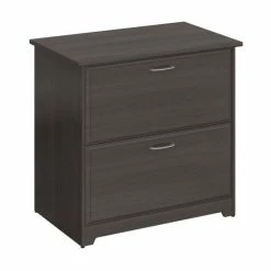 Budget βοΈ Pemberly Row 2 Drawer File Cabinet In Heather Gray π