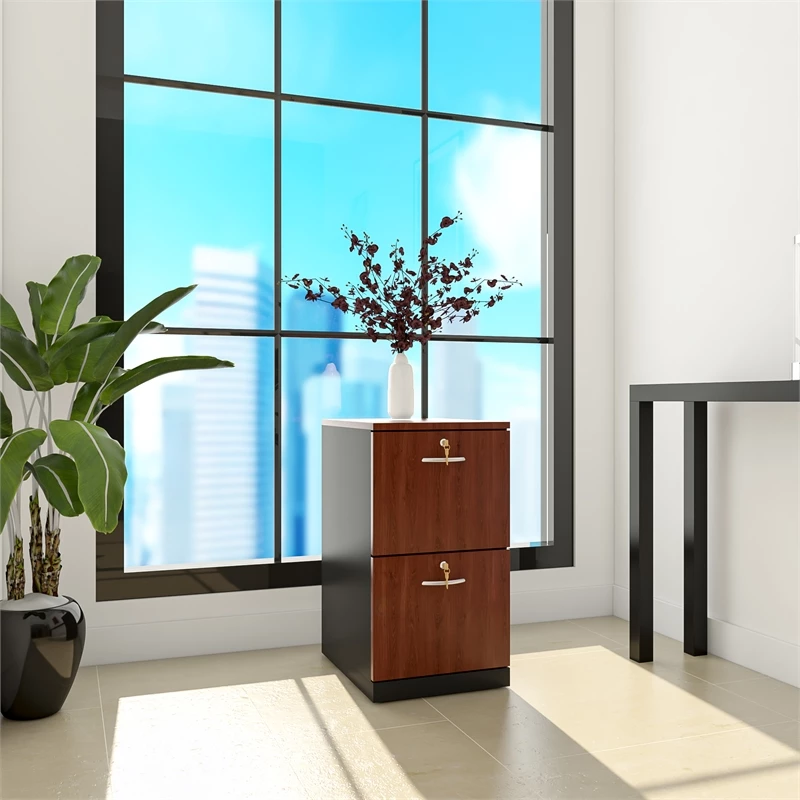 Best deal β€οΈ Pemberly Row Wood 2 Drawer File Cabinet With Storage In Classic Cherry π 5 Best deal β€οΈ Pemberly Row Wood 2 Drawer File Cabinet With Storage In Classic Cherry π - Image 5