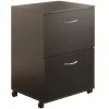 Buy 🔔 Scranton & Co 2 Drawer Mobile Wood File Cabinet In Black 🤩