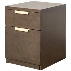Outlet β€οΈ Beaumont Lane 2 Drawer Mobile File Cabinet In Dark Mocha π