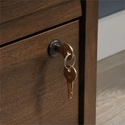 Promo ✨ Sauder Englewood 2 Drawer Wooden Lateral File In Spiced Mahogany 🔥 -Mobile Sales Store 2016975 18 L