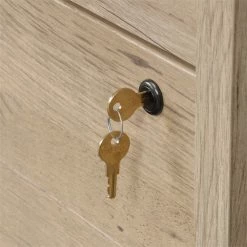 Best Pirce ⌛ Sauder Aspen Post 2 Drawer Wooden Lateral File Cabinet In Prime Oak 🌟 -Mobile Sales Store 2118668 7 L