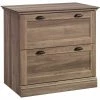 Outlet ❤️ Sauder Barrister Lane Engineered Wood 2-Drawer Lateral File Cabinet Salt Oak 🔔