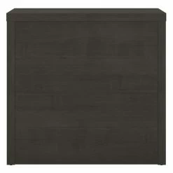 Promo 👍 Kathy Ireland Office By Bush Furniture Echo 2 Drawer Lateral File Cabinet In Charcoal Maple - Engineered Wood ✨ -Mobile Sales Store 2461730 5 L