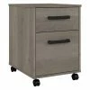 Outlet 💯 Kathy Ireland Home By Bush Furniture City Park 2 Drawer Mobile File Cabinet In Driftwood Gray - Engineered Wood ✨