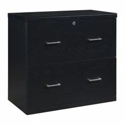 Best reviews of π₯ OSP Home Furnishings Alpine 2-Drawer Engineered Wood Lateral File With Lockdowel In Black Finish β¨