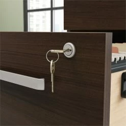 Coupon π€© Sauder Affirm Engineered Wood 2-Drawer Mobile Filing Cabinet In Noble Elm/Brown π 9 Coupon π€© Sauder Affirm Engineered Wood 2-Drawer Mobile Filing Cabinet In Noble Elm/Brown π -Mobile Sales Store 2522220 3 L