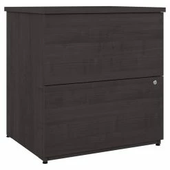 Best Sale 👏 Bestar Logan 2-Drawer Engineered Wood Lateral File Cabinet In Charcoal Maple 💯