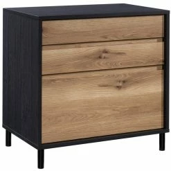 Deals 🔥 UrbanPro Engineered Wood And Metal 2-Drawer Lateral File In Raven Oak 😍