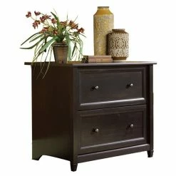 Best reviews of ⌛ Sauder Edge Water Engineered Wood 2-Drawer File Cabinet In Black 💯